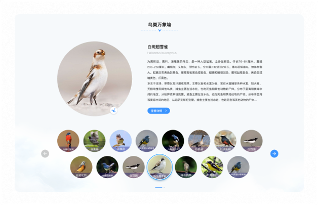 高端網(wǎng)站設(shè)計